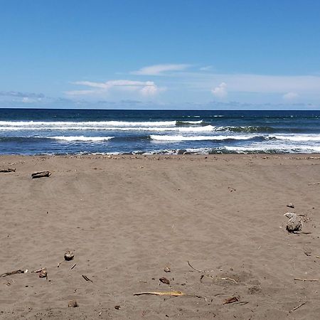 Alma Del Bosque Hotel Tortuguero Eksteriør bilde