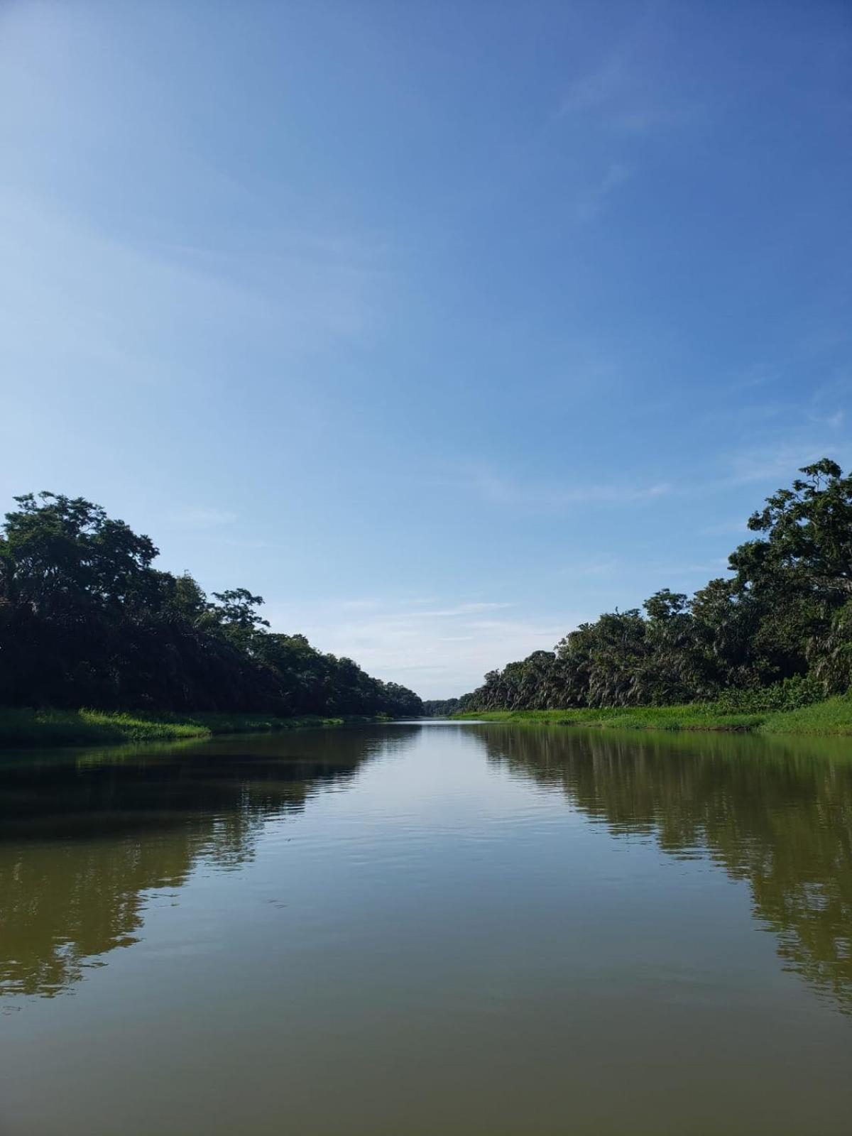 Alma Del Bosque Hotel Tortuguero Eksteriør bilde