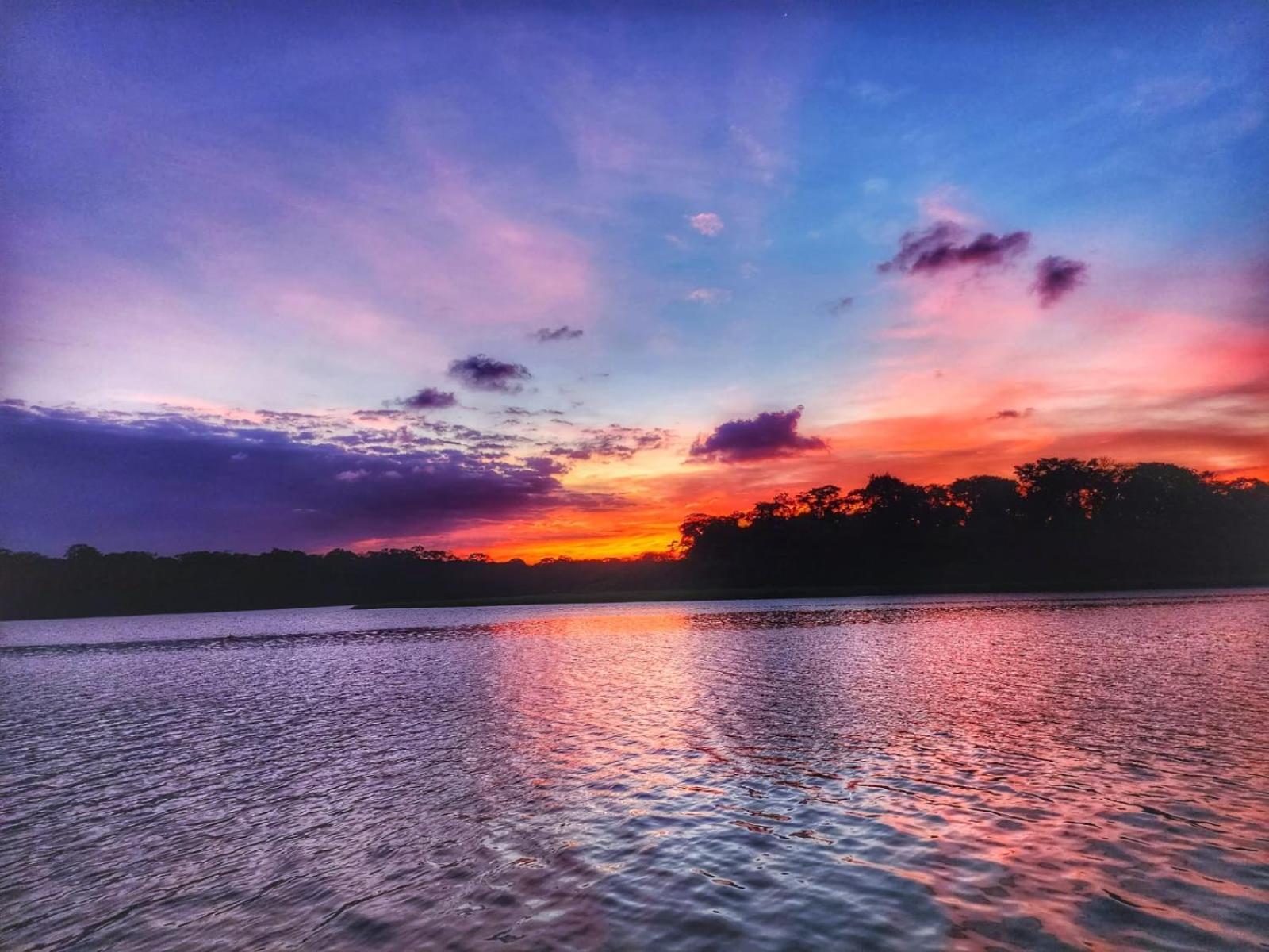 Alma Del Bosque Hotel Tortuguero Eksteriør bilde
